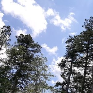 Meet your Posher, Yousun